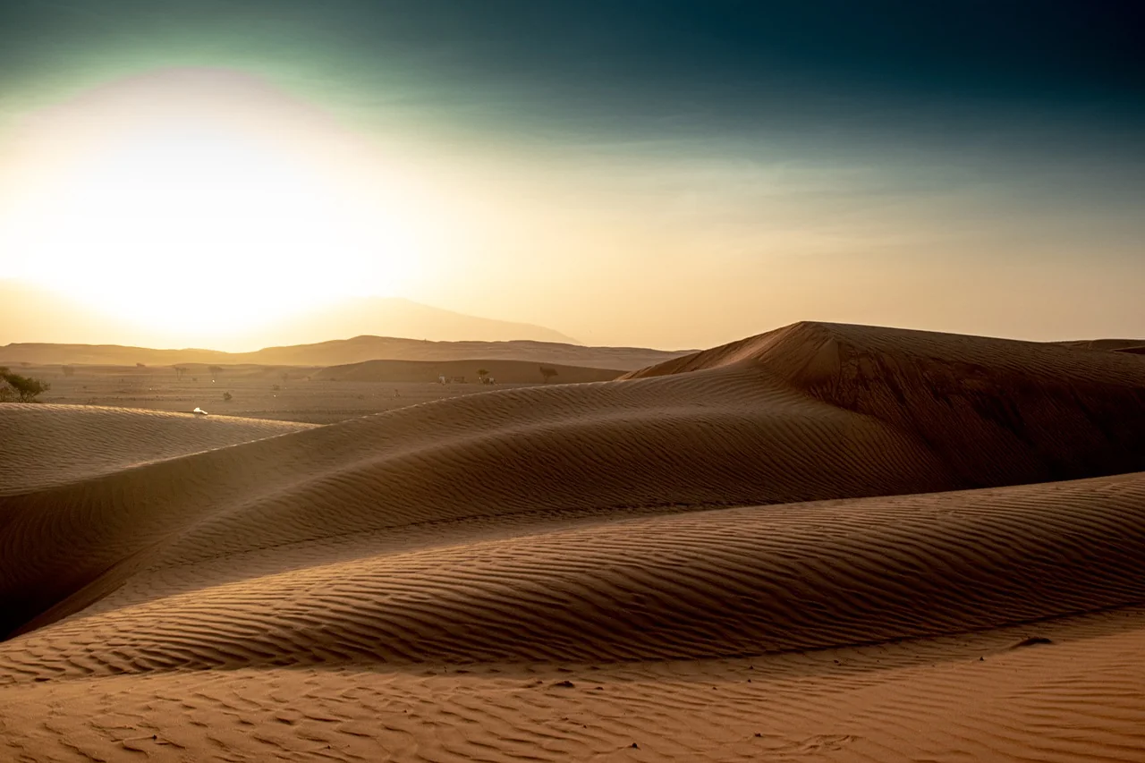 Vorläufiges Landschaftsfoto: Sanddünen im Licht der tief stehenden Sonne